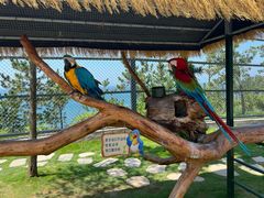 -西霞口神雕山野生动物世界