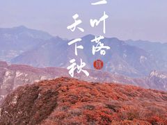 -周口店坡峰岭风景区