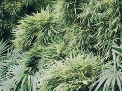 -成都杜甫草堂博物馆