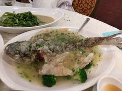 -蒲园食堂(中山大学广州校区南校园店)