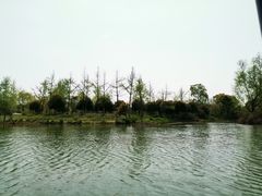 -梁鸿国家湿地公园