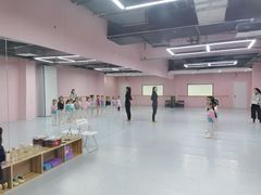 -舞蕾舞蹈(特长生校区)