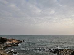 -广东惠东海龟国家级自然保护区