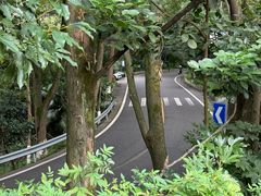 景点-铁山坪森林公园