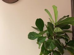 -安肯心理咨询(长宁旗舰店)