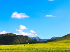 -扁都口生态休闲旅游区