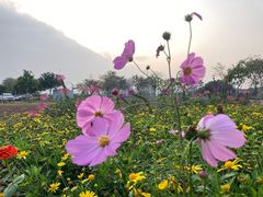 -广东花都湖国家湿地公园