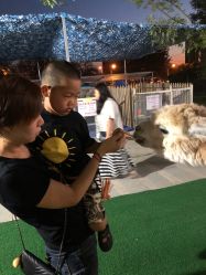 -萌宠亲子动物乐园(槐房万达店)