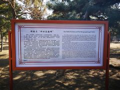 -沈阳市东陵公园