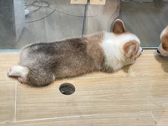 -7分甜(苏州中心店)