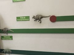-辽宁古生物博物馆