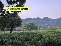 -野蔓果·山野菜(西湖景区·龙井茶田店)