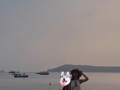 -七七家的糖水店(南湾街1号店)