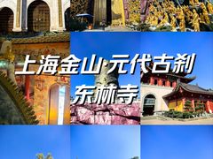 -上海东林寺(金山区)