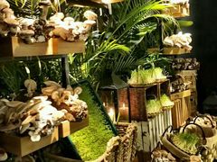 -大头椰·椰子鸡火锅(南宁万象城店)