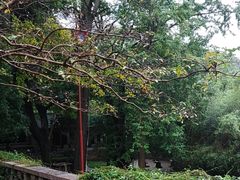 -青岛崂山太清宫