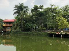 -锡才大羽羽毛球馆(深港花卉店)