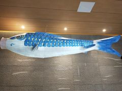 -蓝鲸湾汤泉(包河店)