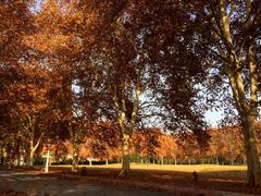 iphone_upload_pic-河南省黄河迎宾馆