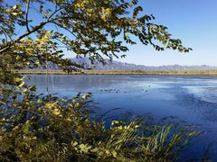 -野鸭湖国家湿地公园