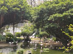 -九龙公园