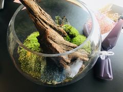-谷莠子花艺气球派对·绿植造景·花艺沙龙(东海缤纷天地店)