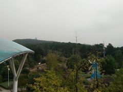 -铁山坪森林公园