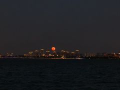-金鸡湖景区