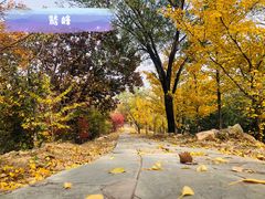 -北京鹫峰国家森林公园