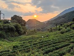 -杨家堂村