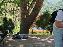 -秦岭终南山世界地质公园翠华山景区