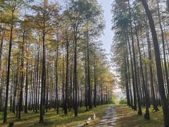 -东湖落雁景区