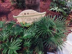-龙达温泉生态城