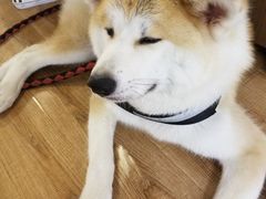 -YCHL Studios健身工作室(市二宫店)