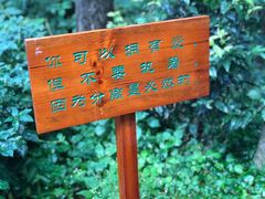 -寂照庵