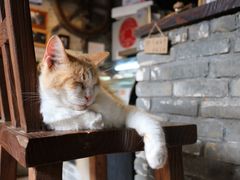 -老屋咖啡