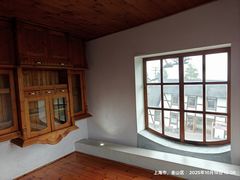 -金山农民画村-枫泾波兰倒置屋