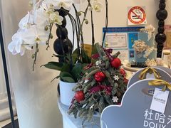 -杜哈夫DOUX RÊVE·生日蛋糕(日月光店)
