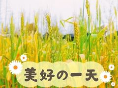 -前小桔亲子创意农场·草莓采摘·露营烧烤