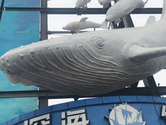 -大连圣亚海洋世界