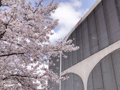 -龙美术馆(西岸馆)