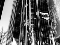 -T11生鲜超市(朝阳公园店)