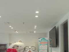 -喜多萌中农锦绣动物医院24H·猫科·牙科MRI·CT