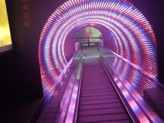 -太阳部落