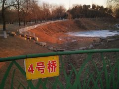 -莫子山公园