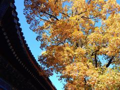 -香山公园