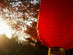 -花溪公园