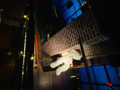 -赢吧Bliss音乐酒吧