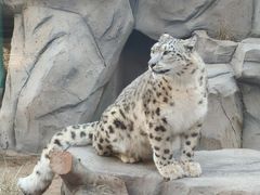 -青藏高原野生动物园