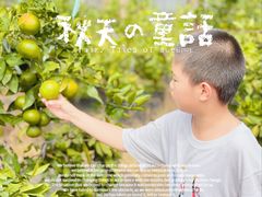 -前小桔亲子创意农场·草莓采摘·露营烧烤